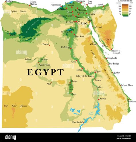 Highly detailed physical map of the Egypt , in vector format,with all ...