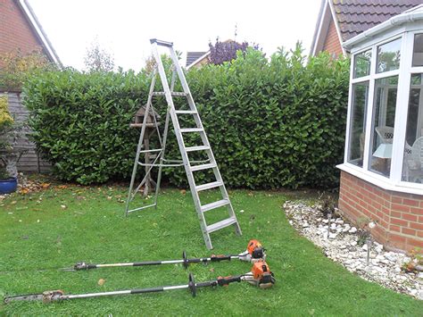 Hedge Cutting, Crown Reduction and Tree Pruning. | D & L Landscapes Ltd