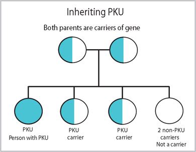 Genetic Disorder Project: Honors Biology