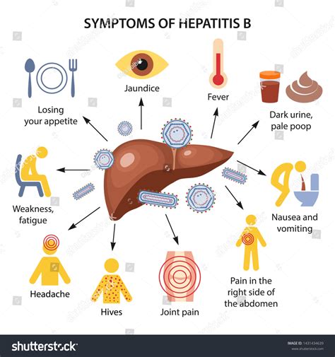 2,137 Hepatitis B Stock Vectors, Images & Vector Art | Shutterstock