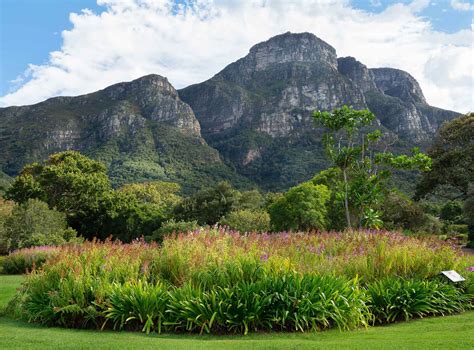 Beautiful Mountain Gardens