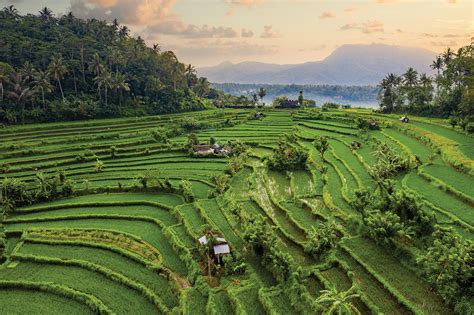 A deep green future for Balinese tourism | Cathay