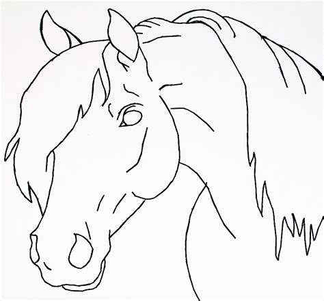 Horse head lineart by bluemoon124 on DeviantArt