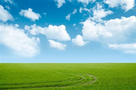 Green Grass and Blue Sky Landscape Stock Image - Image of clear, field ...