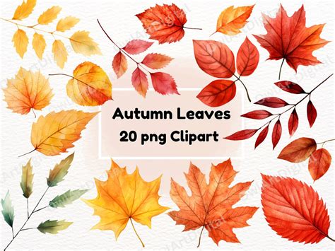 Watercolor Fall Leaves Clipart 20 PNG, Autumn Leaves Clip Art, Maple Leaf, Cozy Printable Art ...