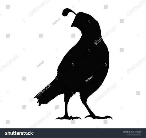 Quail Silhouette: Over 632 Royalty-Free Licensable Stock Vectors ...