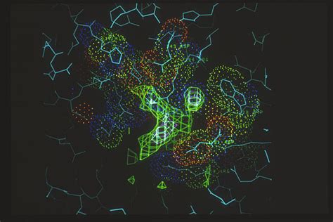 Molecular Imaging in Precision Oncology - The Cancer News