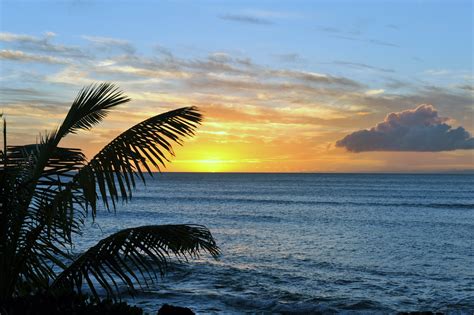 Napili-Honokowai holiday accommodation: hotels & more | Stayz