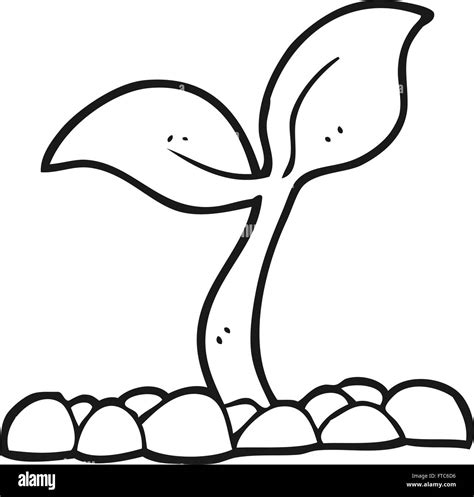 freehand drawn black and white cartoon seedling Stock Vector Image ...