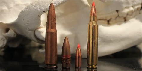 223/5.56 vs 7.62x39: What You Need To Know | Big Game Hunting Blog