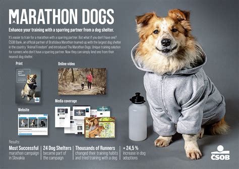 Marathon Dogs on Behance