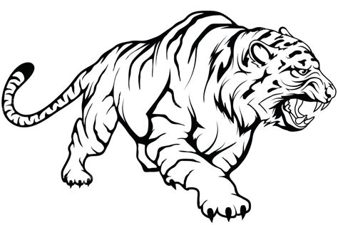 Tiger Drawing Easy | Free download on ClipArtMag