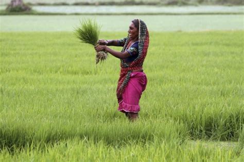 100 Women 2016: The small band of pioneering women farmers in India