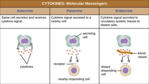 17.2: Chemical Defenses - Biology LibreTexts