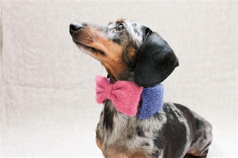 Small Dog Bow Tie Knited Bow Tie Mini Dachshund Bow Tie Dog | Etsy