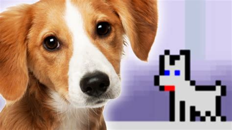 DOG SIMULATOR - YouTube