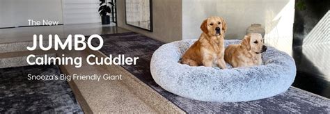 Human Size Dog Bed | Snooza's Jumbo Calming Cuddler – Snooza Pet Products