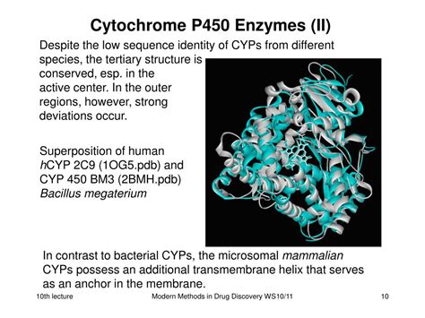 PPT - Cytochrom P450, Polymorphism, Transporters PowerPoint ...