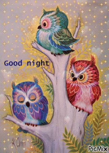 Good Night Owl GIF - Good Night Owl Sleepy - Discover & Share GIFs Good Night Prayer, Good Night ...