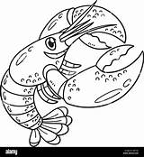 Lobster Isolated Coloring Page For Kids Stock Vector Image & Art  Alamy sketch template