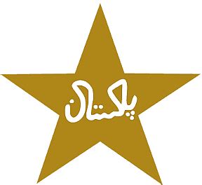 Pakistan National Cricket Team logo transparent PNG - StickPNG