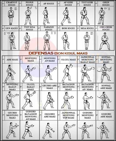 11 best Taekwondo forms images on Pinterest | Taekwondo forms, Marshal ...