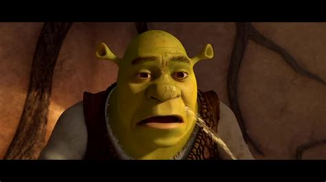 Shrek Forever After {DVD} - Shrek Forever After Photo (36617916) - Fanpop