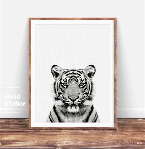 Black and White Tiger Print, Photography, Nursery Decor, Safari Animal ...