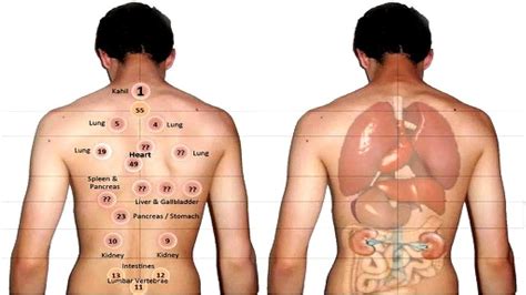 Cupping is a form of traditional Chinese medicine that aims to improve the flow of qi (energy ...