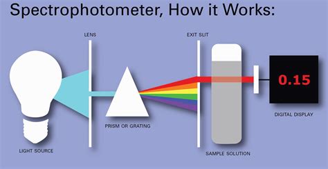 How a Spectrophotometer Works! Infographic by Hannah Hamel