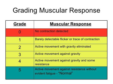 Muscle Grade Chart