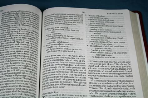 Crossway ESV Large Print Thinline Reference Bible Review