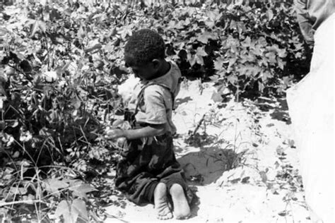 A barefoot Black boy kneels to pick cotton | Title: A barefo… | Flickr