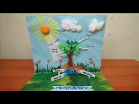 Photosynthesis Model In Plants | Science Project 3D Model For Students | The4Pillars - YouTube