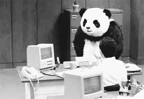 How I feel talking to any department at my college - Imgur | Panda gif, Funny gif, Panda