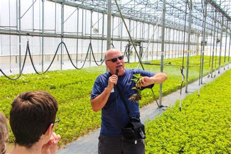 Bailey Nurseries 2019 Summer Expo Highlights New Varieties and Technology - Greenhouse Grower