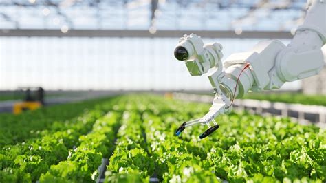 Deux Ex Machina Part V: Robotics In Agriculture | TD Cowen