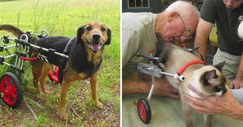 92-Year-Old Retired Veterinarian Dedicates His Life To Making Wheelchairs For Disabled Animals ...