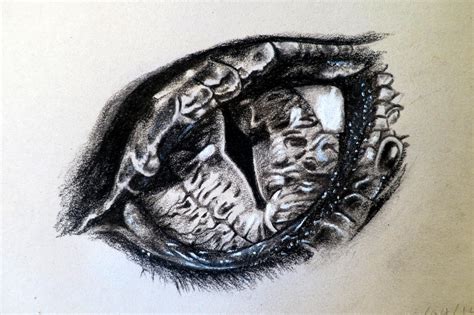 The Eye of Smaug by EnigmaticDoodle on DeviantArt