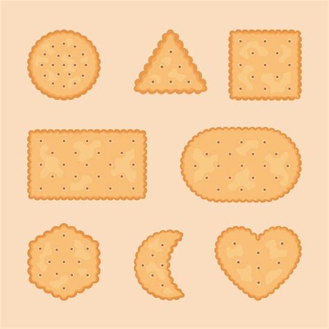 Assorted Shapes Biscuits Crackers Set 3145779 Vector Art at Vecteezy