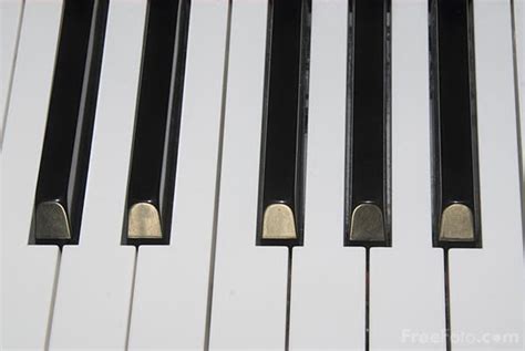 Piano Keyboard pictures, free use image, 812-15-8305 by FreeFoto.com
