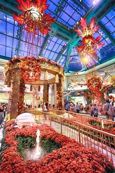 Bellagio Conservatory's Fall Display Raises the Bar, Again