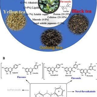 (PDF) Updates on the chemistry, processing characteristics, and utilization of tea flavonoids in ...