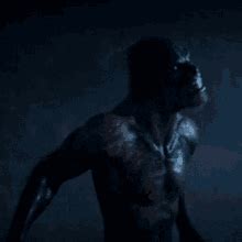 Werewolf Transformation GIF'leri | Tenor