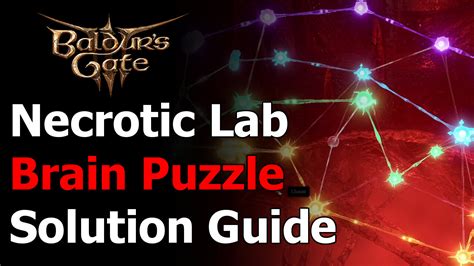 Baldur's Gate 3 Necrotic Laboratory Brain Puzzle Solution - Act 2 Moonrise Tower Brain Puzzle