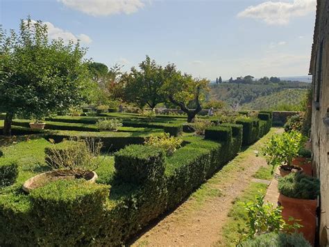 We Like Tuscany (Florence) - 2019 All You Need to Know BEFORE You Go (with Photos) - TripAdvisor