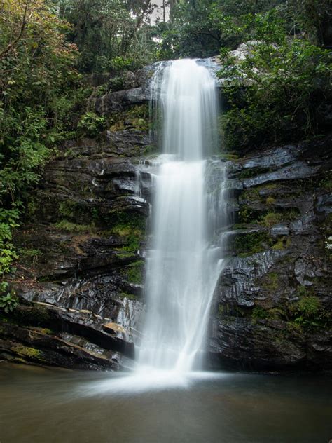 Exploring Ranomafana National Park - Madagascar | A Little Off Track