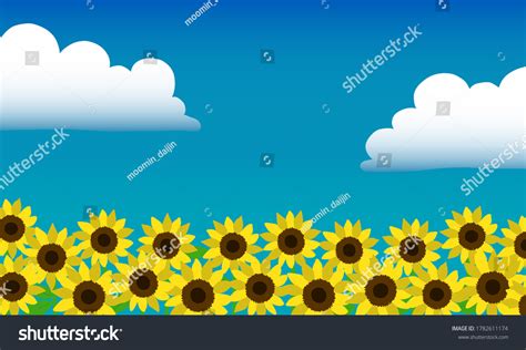 Sunflower Field Drawing Vector Illustration Background Stock Vector (Royalty Free) 1782611174 ...