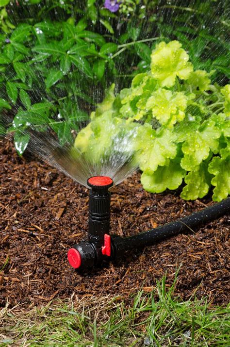 Above Ground Irrigation Systems for Landscaping | DIY Sprinkler System ...