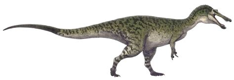 10 Interesting Baryonyx Facts - JellyQuest